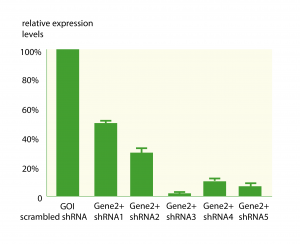 An example graph showing results of our shRNA validation services.